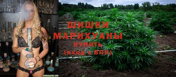 гидра Медвежьегорск