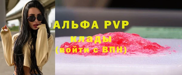 прущие грибы Магас