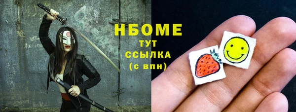 гидра Медвежьегорск