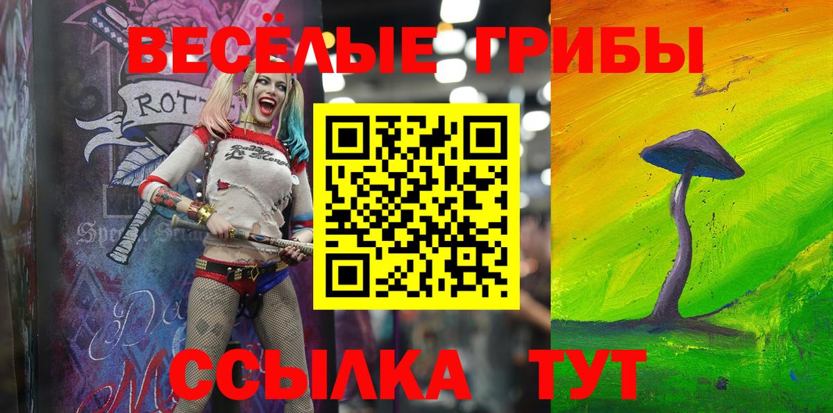 Псилоцибиновые грибы мухоморы Мурманск